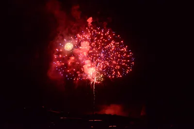 DSC_3430 (Large).JPG